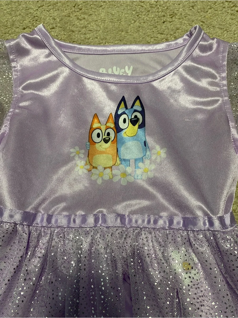 Disney Bluey Girls Nightgown 5T